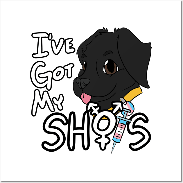 I've Got My Shots (Black Lab, HRT) Wall Art by malafight